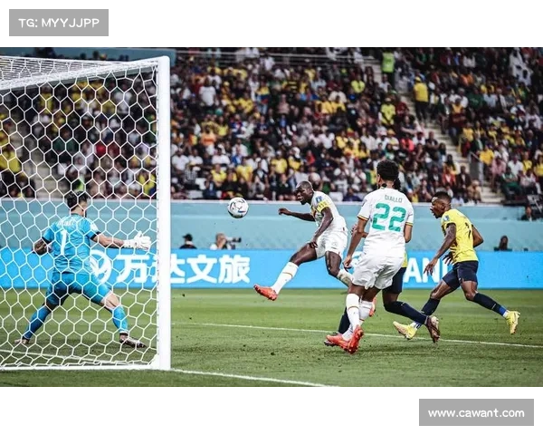 世界杯·战况｜日本2-2战平塞内加尔